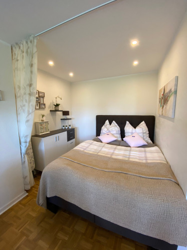 Quiet, spacious suite - Gallery - 13