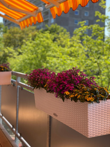 Quiet, spacious suite