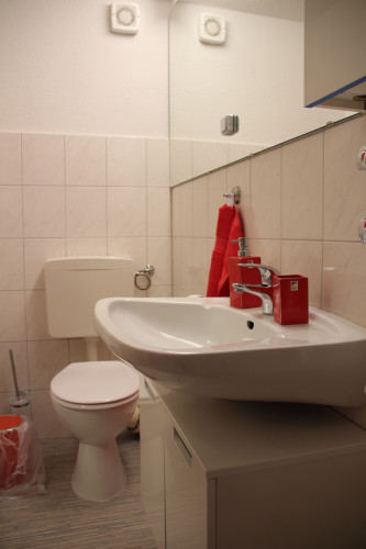 Lovingly furnished apartment with kitchen and balcony