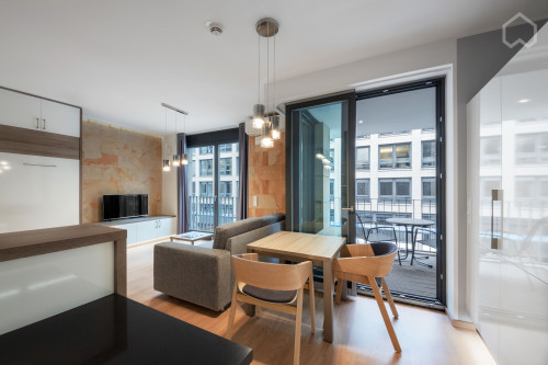 Studio Apartment, modern, high-quality, with balcony in the centre of Dresden (Germany)