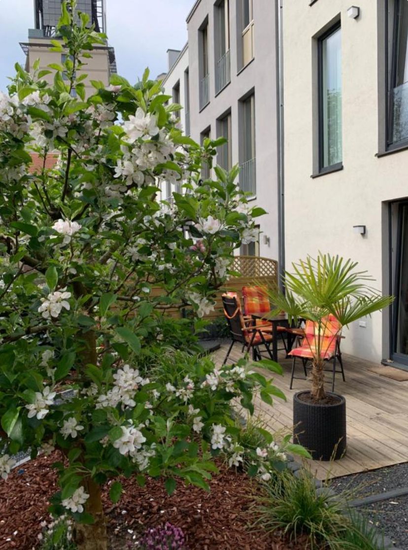 Townhouse Apartment In The City Center, 50 Meters From The Water. - Townhouse Apartment in the city center, 50 meters from the water. - Gallery - 31