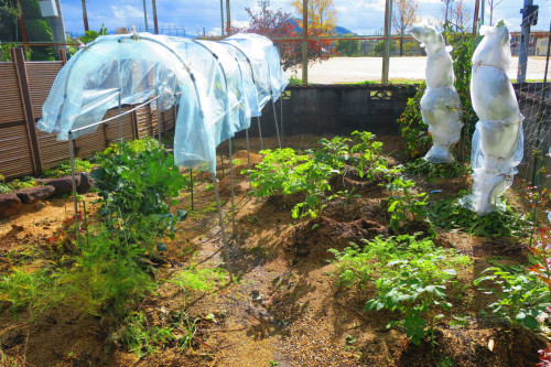 Goichō Home - Gallery - 17