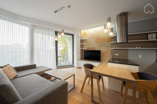 2-room apartment, modern, high quality, in the centre of Dresden, 15 minutes walking distance to main station