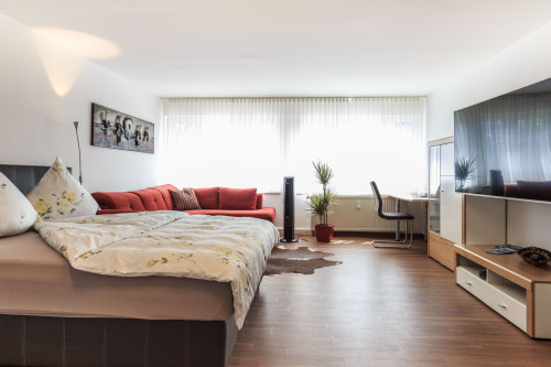 Superior studio apartment in Friedrichshafen - Gallery - 18