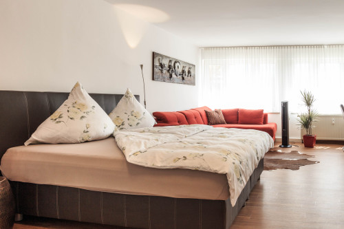 Superior studio apartment in Friedrichshafen - Gallery - 10