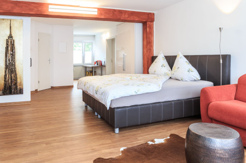 Superior studio apartment in Friedrichshafen - Gallery - 14