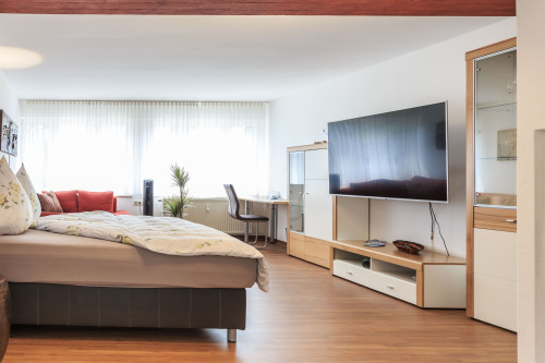 Superior studio apartment in Friedrichshafen - Gallery - 17