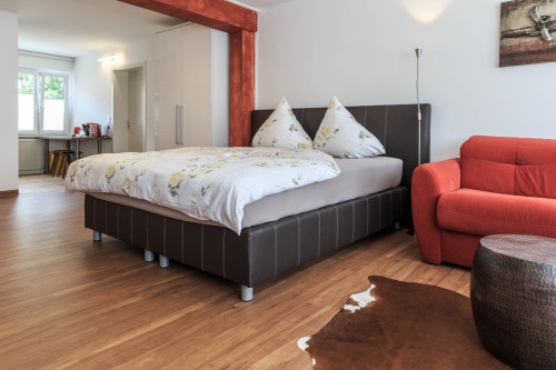 Superior studio apartment in Friedrichshafen - Gallery - 13