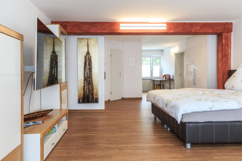 Superior studio apartment in Friedrichshafen - Gallery - 12