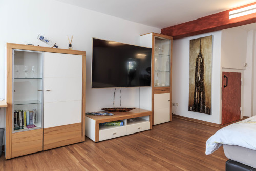 Superior studio apartment in Friedrichshafen - Gallery - 7