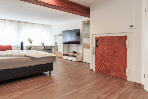 Superior studio apartment in Friedrichshafen - Gallery - 16