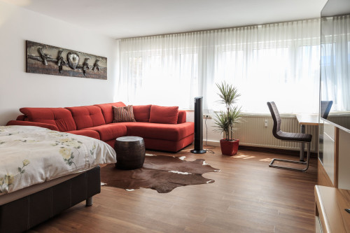 Superior studio apartment in Friedrichshafen