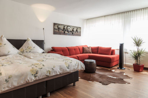 Superior studio apartment in Friedrichshafen - Gallery - 15