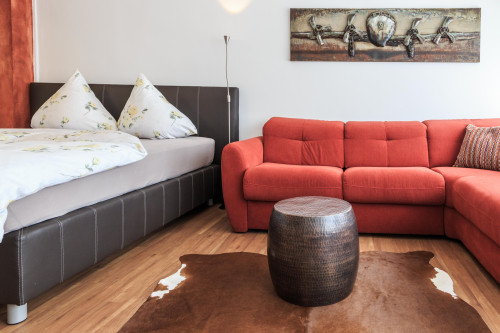 Superior studio apartment in Friedrichshafen - Gallery - 9