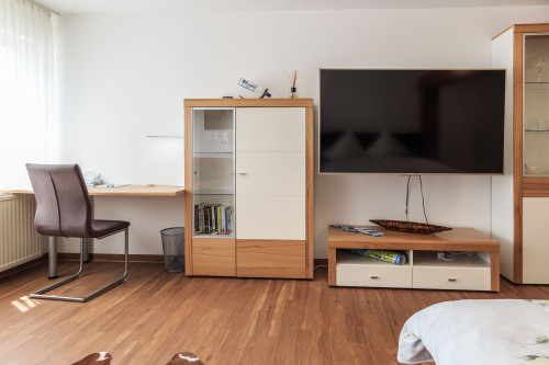 Superior studio apartment in Friedrichshafen - Gallery - 11