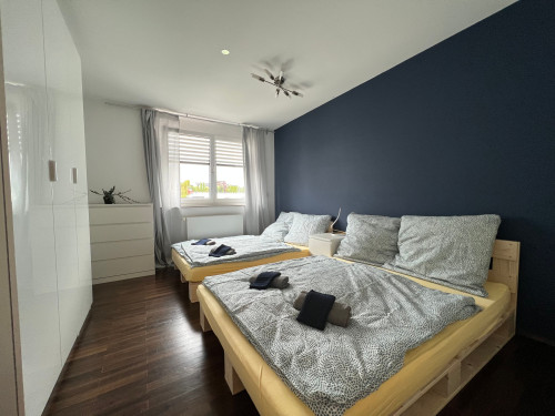 Penthouse apartment in the heart of Nuremberg - Gallery - 20