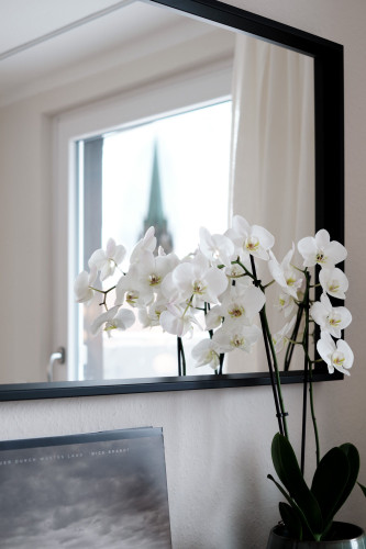 Nice & cozy apartment located in Hagen - Gallery - 7