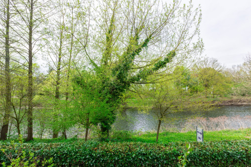 Residential oasis in Leichlingen All Inclusive