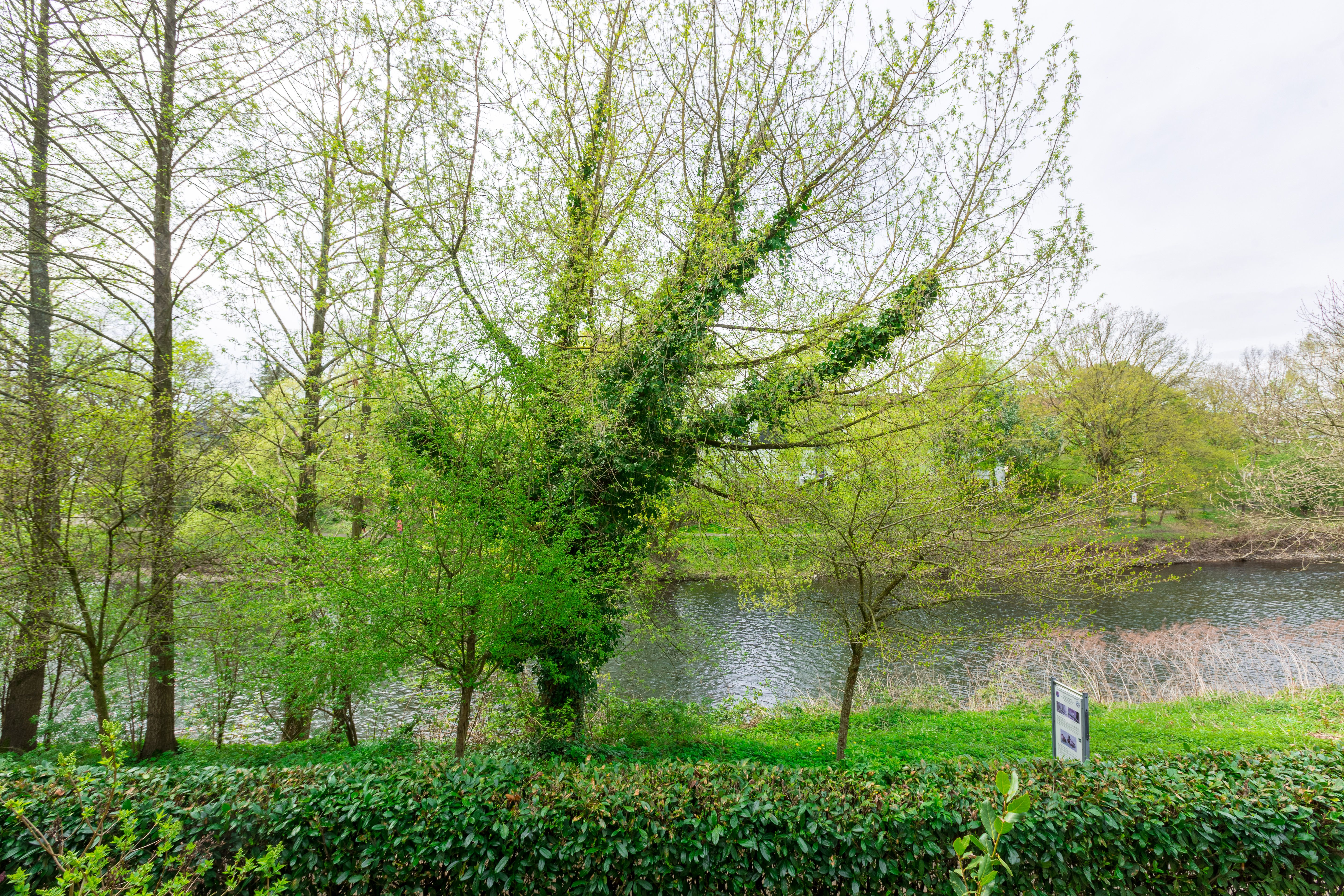  Residential Oasis In Leichlingen All Inclusive  -  Residential oasis in Leichlingen All Inclusive  - Gallery -  2