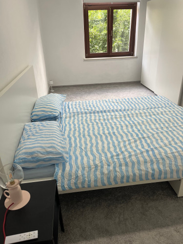 Perfect and new loft (Jena)