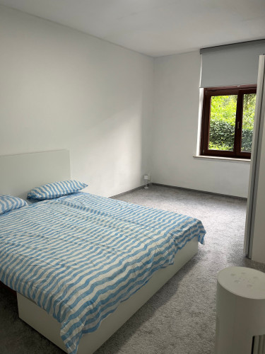 Perfect and new loft (Jena)