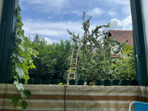 Perfect and new loft (Jena)