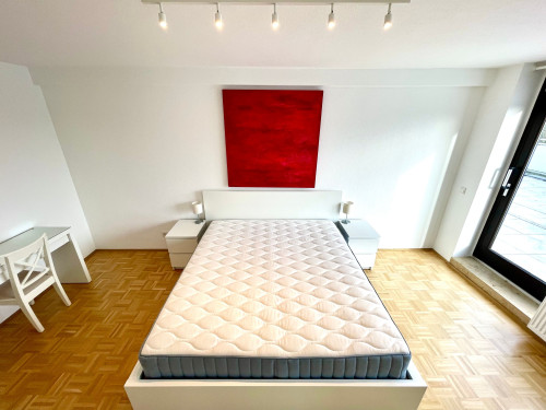 Exclusively furnished apartment with a spacious rooftop terrace in a central location