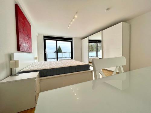 Exclusively furnished apartment with a spacious rooftop terrace in a central location