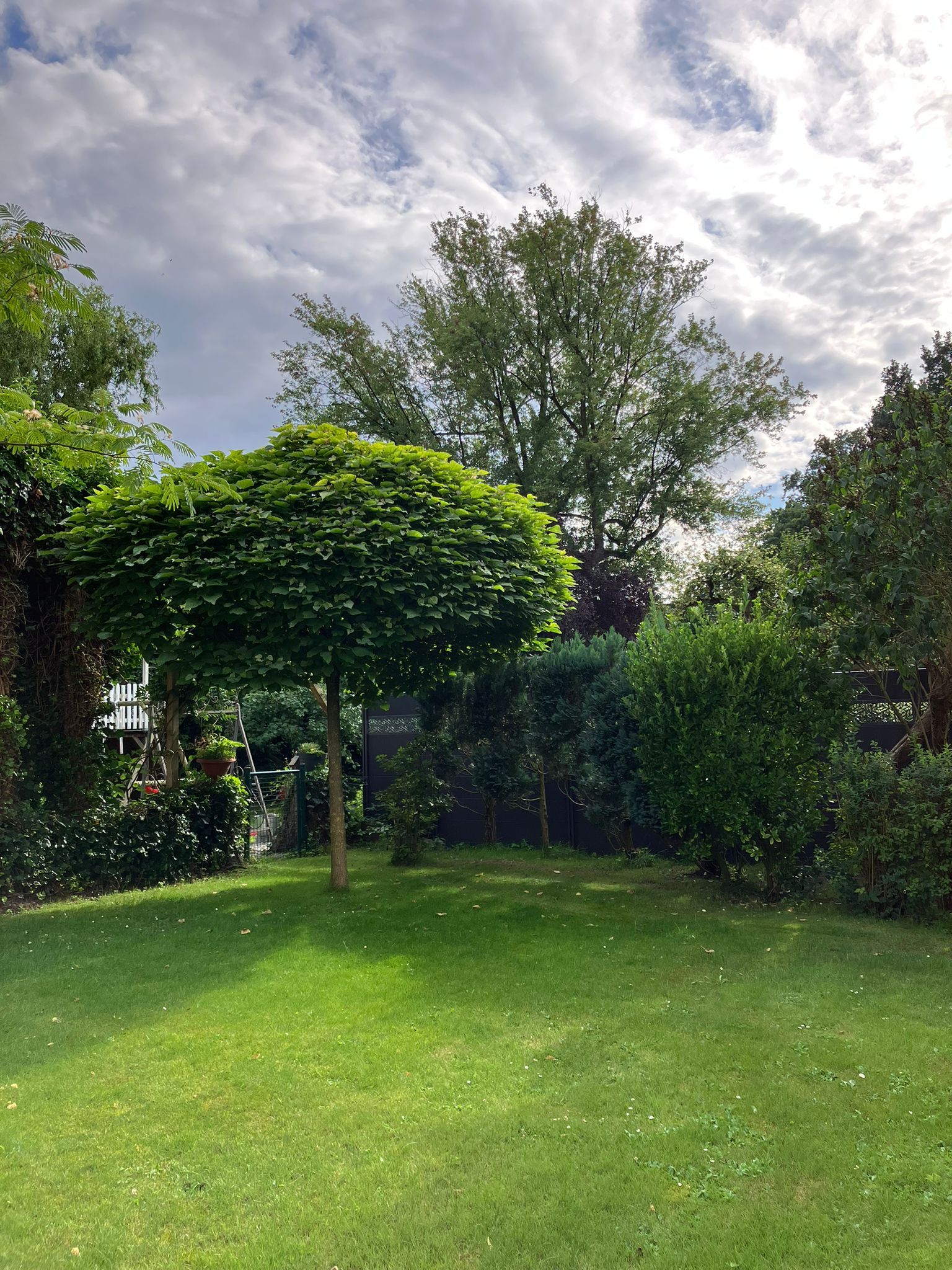 Charming Spacious "Home Away From Home" With Garden! - 9