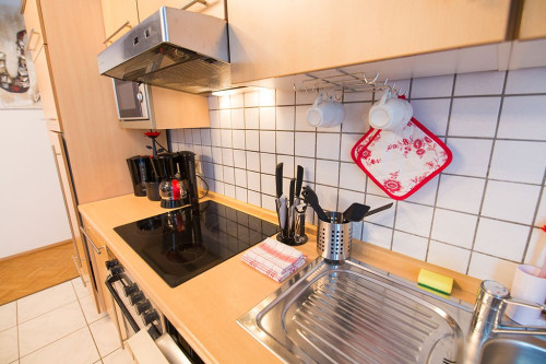 Fully equipped, modern apartment (43 sqm) in the middle of Koblenz Old Town