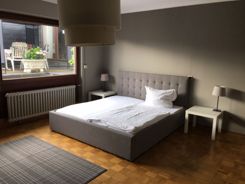 Fantastic, pretty studio in Bornheim