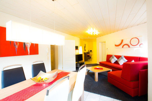 Bright apartment in the basement