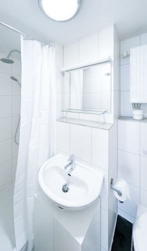 Bright and perfect flat in Aachen
