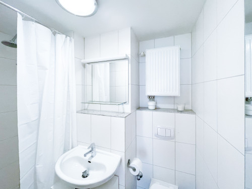Bright and perfect flat in Aachen  - Gallery -  5