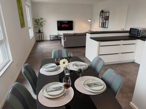 Modern 135 m² Penthouse with Balcony, A/C & Views – Near Cologne/Bonn Airport