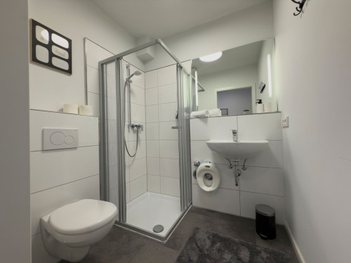 Modern 135 m² Penthouse with Balcony, A/C & Views – Near Cologne/Bonn Airport - Gallery - 10