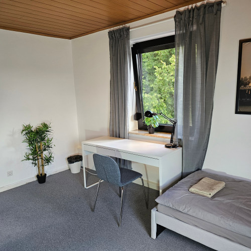Best Money to Value - Gallery - 8