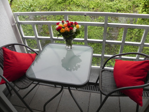 Fully furnished studio apartment, balcony, car parking, central located, clinic-center (EK/OSK) by foot