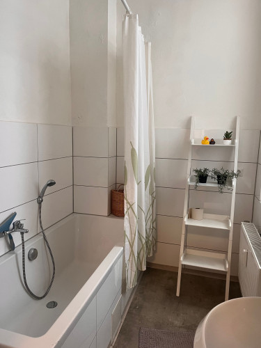 Bright and neat flat in Koblenz