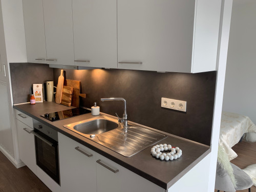 Neat & stylish apartment in Frankfurt/Offenbach am Main