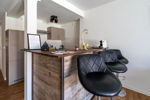 Stylish 2-Room Apartment 75m² good connection to Frankfurt | Balkony | Parking | Netflix - Gallery - 10