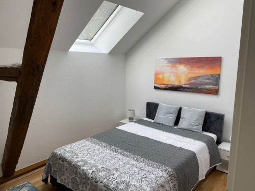 Luxurious temporary apartment in Troisdorf - Gallery - 30