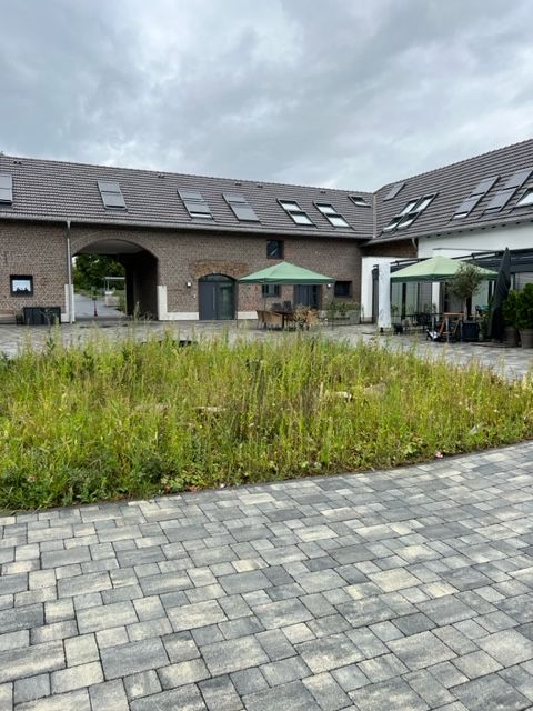Luxurious Temporary Apartment In Troisdorf - Luxurious temporary apartment in Troisdorf - Gallery - 3