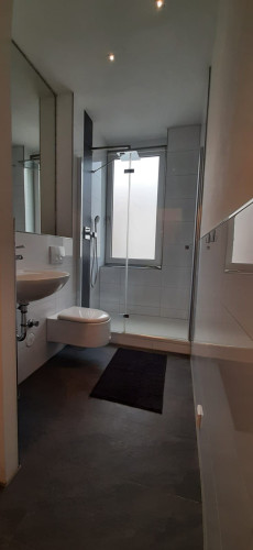 Old building apartment for high demands