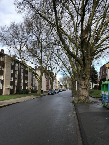 Old building apartment for high demands