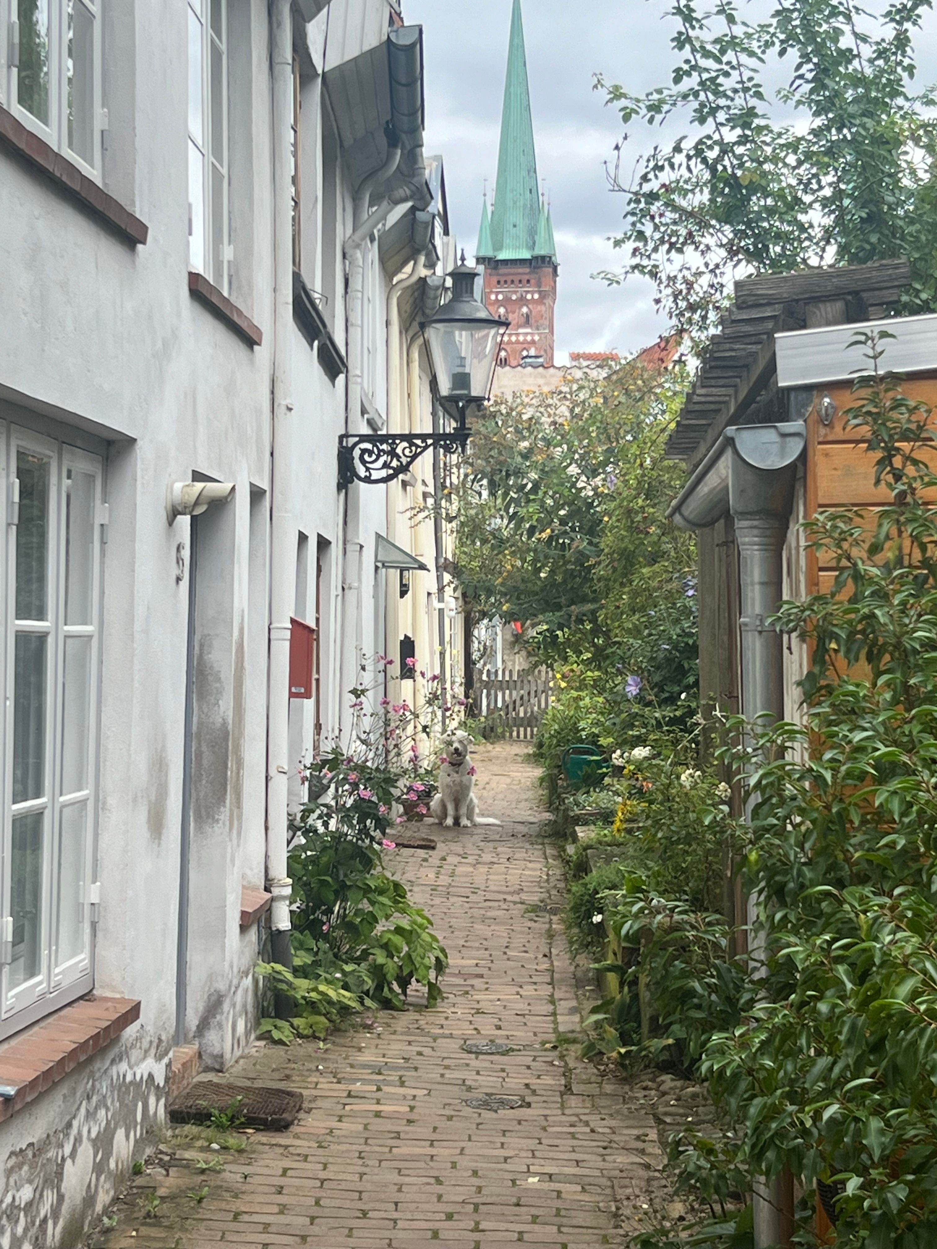 Beautiful Corridor House With Garden In Lübeck - 8