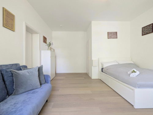 Elegant High-quality apartment in the Paulusviertel
