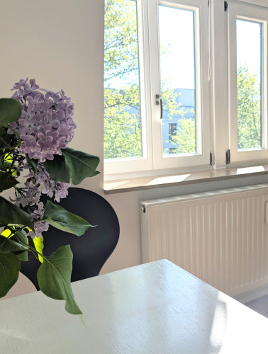 Elegant High-quality apartment in the Paulusviertel  - Gallery -  5