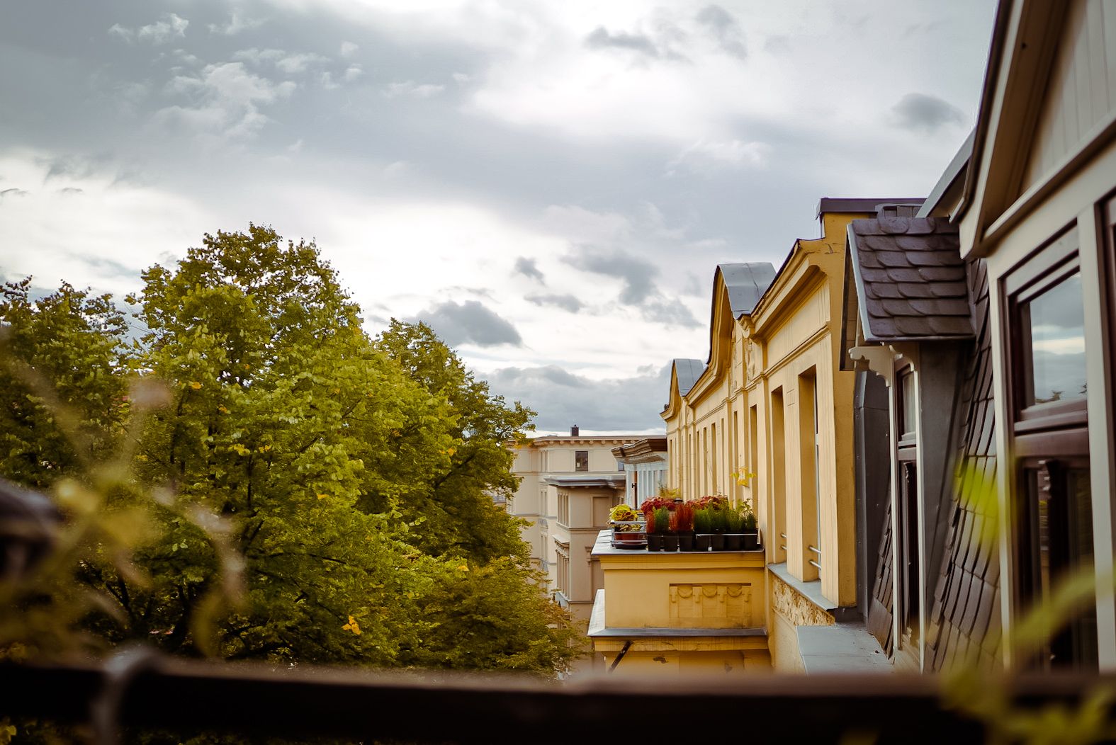  Elegant High-Quality Apartment In The Paulusviertel  -  Elegant High-quality apartment in the Paulusviertel  - Gallery -  3