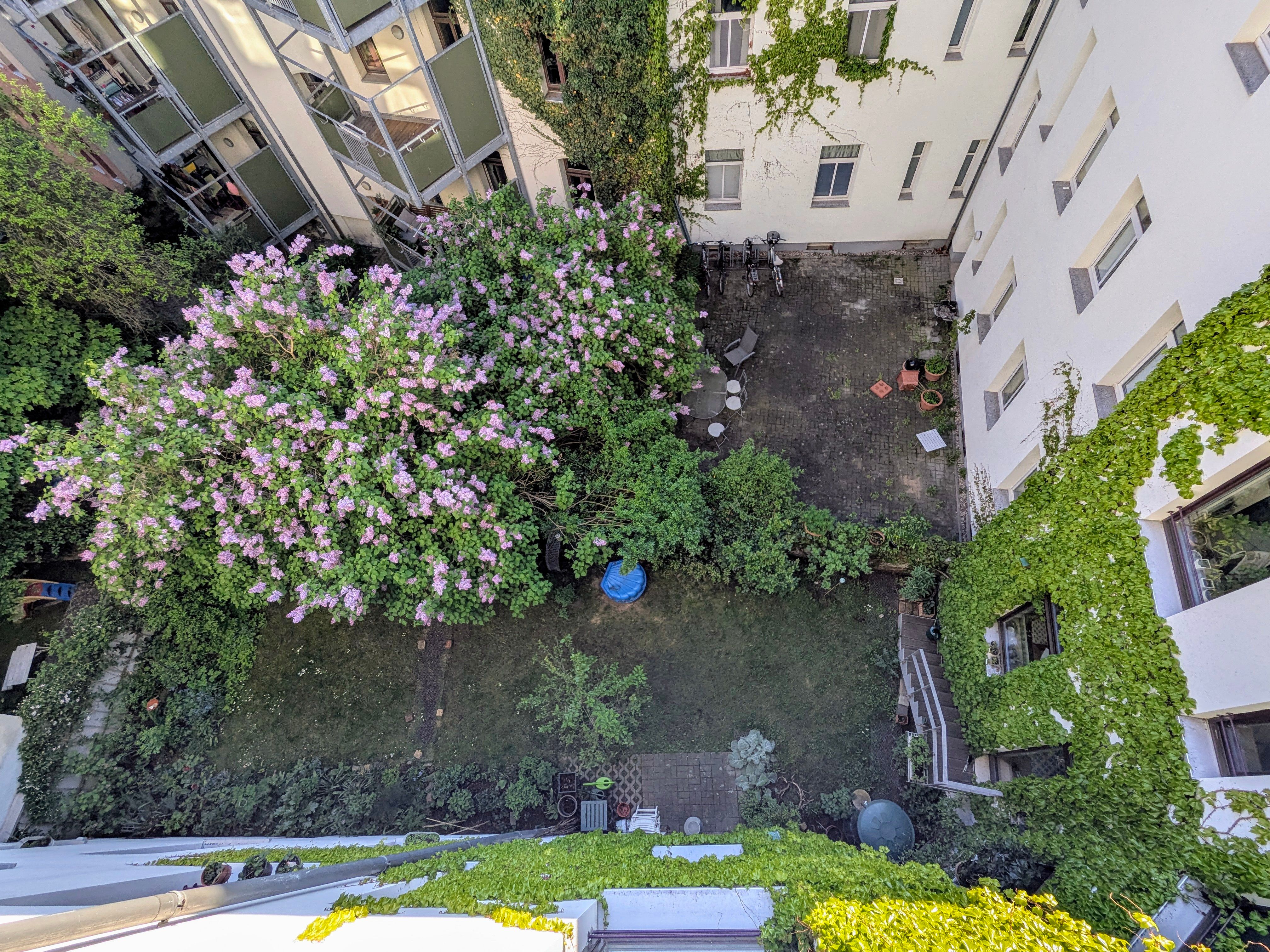  Elegant High-Quality Apartment In The Paulusviertel  -  Elegant High-quality apartment in the Paulusviertel  - Gallery -  2